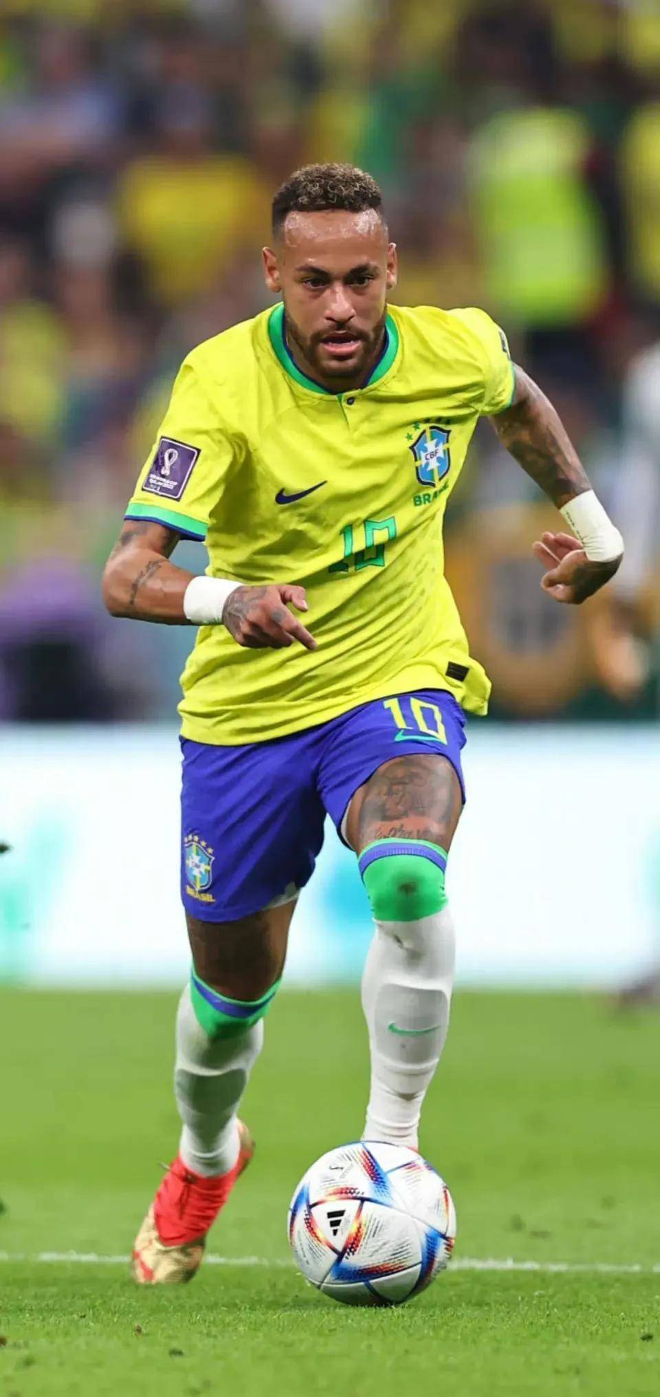 双语导视 双语导视